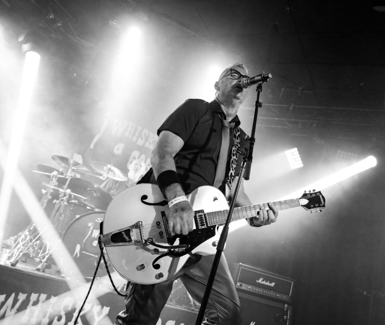 The BroGos performing live — gallery photo 13