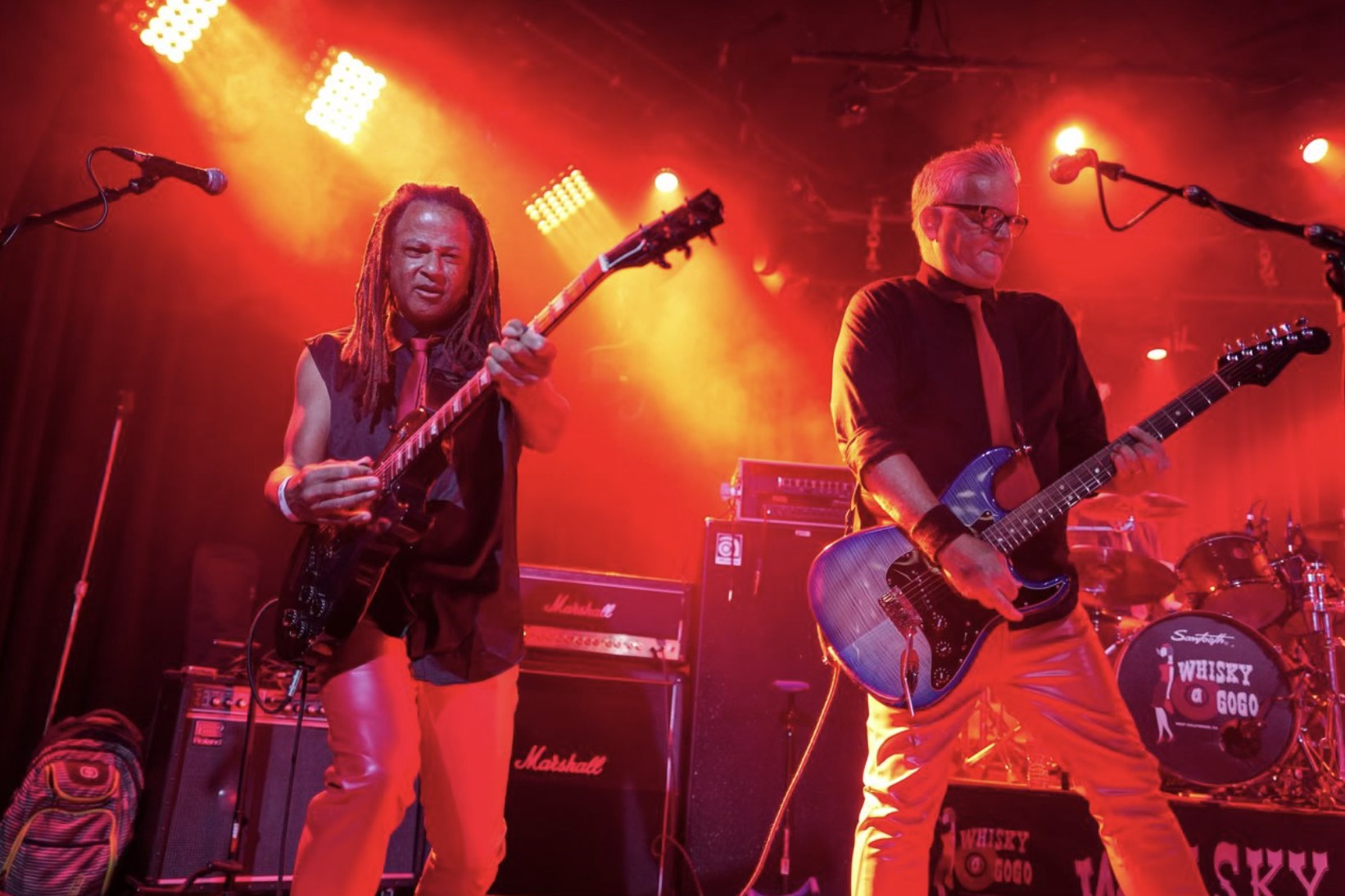The BroGos performing live — gallery photo 22
