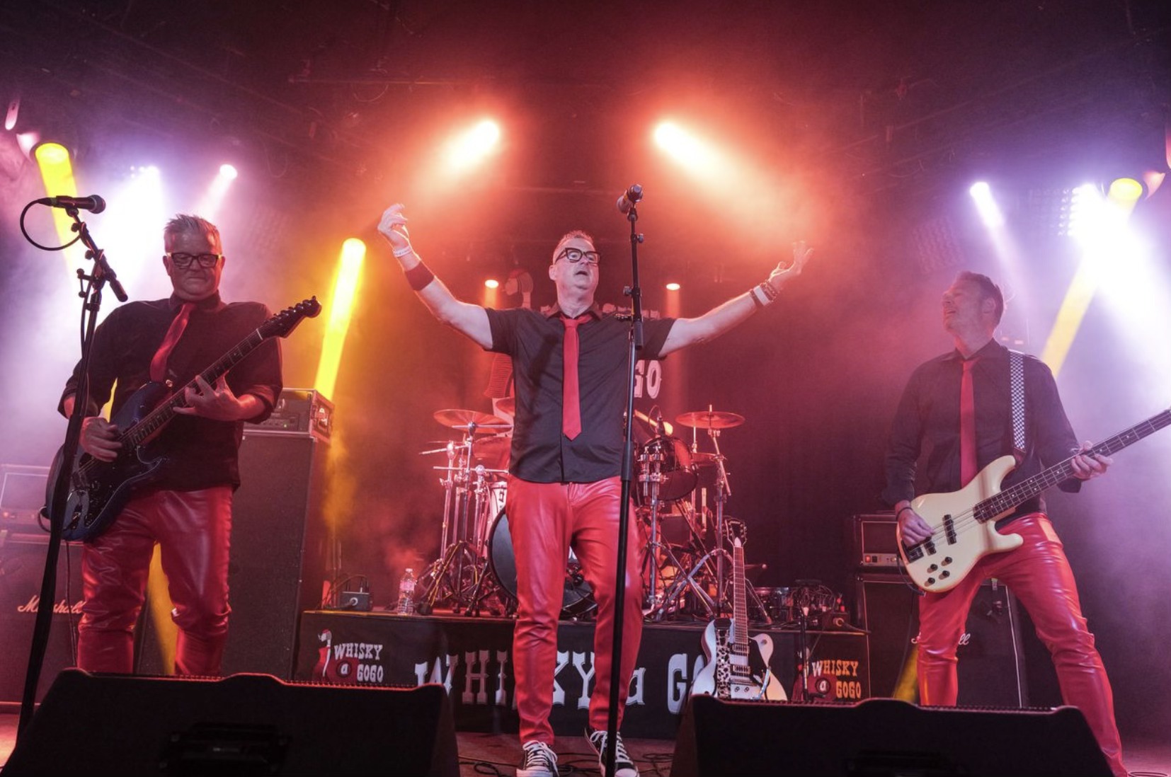 The BroGos performing live — gallery photo 30