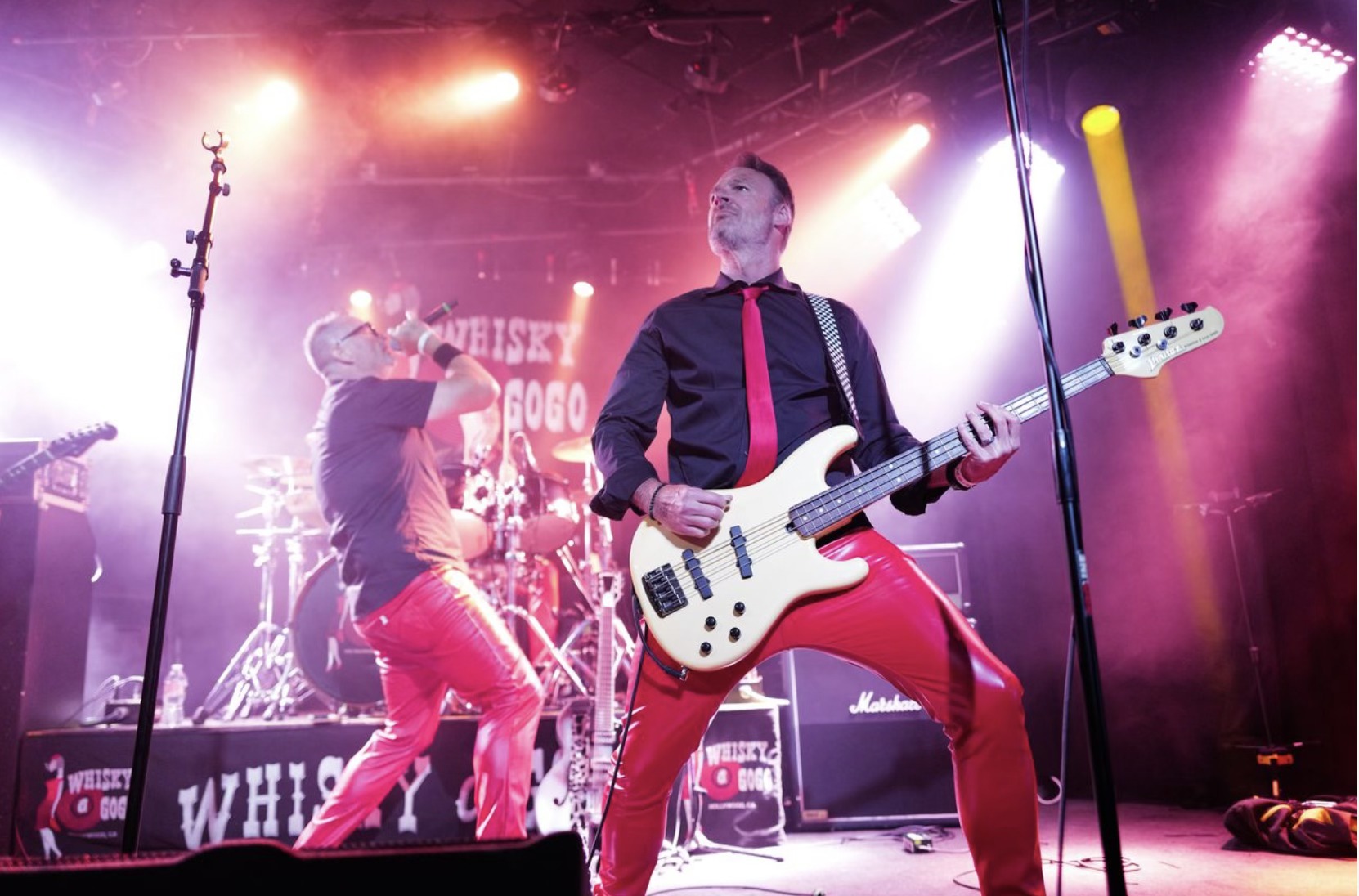 The BroGos performing live — gallery photo 32