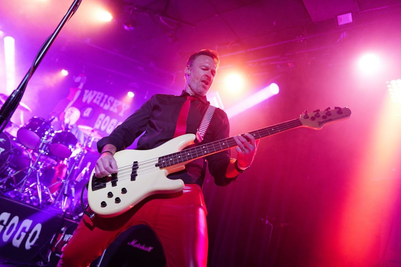 The BroGos performing live — gallery photo 37
