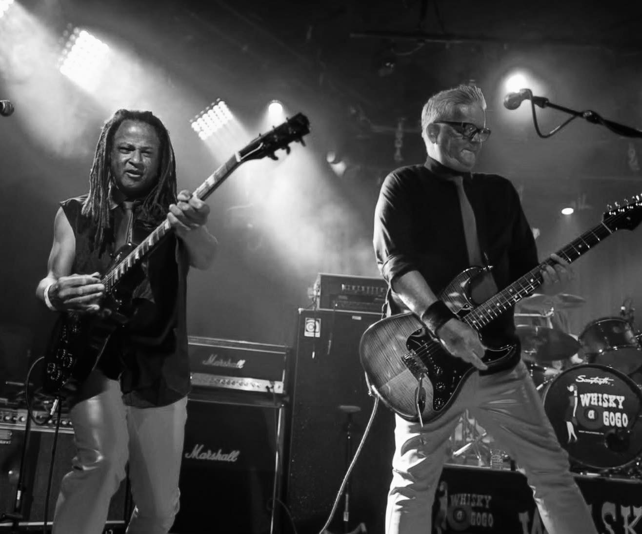 The BroGos performing live — gallery photo 47