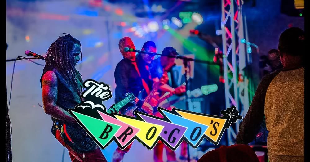 The BroGos performing live — gallery photo 54